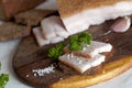 Salted pork lard (salo) on rye bread