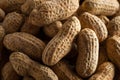 Salted Roasted Shelled Peanuts Royalty Free Stock Photo
