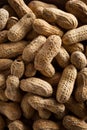 Salted Roasted Shelled Peanuts Royalty Free Stock Photo