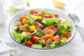 Salted salmon salad with fresh green lettuce, cucumbers, tomato, bell pepper and red onion. Ketogenic, keto or paleo diet lunch Royalty Free Stock Photo