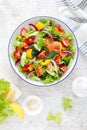 Salted salmon salad with fresh green lettuce, cucumbers, tomato, bell pepper and red onion. Ketogenic, keto or paleo diet lunch Royalty Free Stock Photo