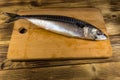 Salted scomber fish on cutting board. Whole mackerel on wooden table Royalty Free Stock Photo