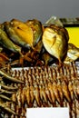 Salted and smoked fresh Golden-colored fish lies on the counter of the seafood market. Dorada, mullet and mullet are