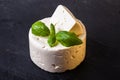 Salted soft cheese Royalty Free Stock Photo