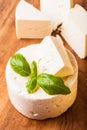 Salted soft cheese Royalty Free Stock Photo