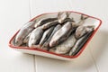 Salted sprat in a white plate with a red border