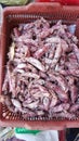 salted squid seafood ingredients full of animal protein