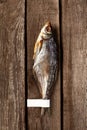 Salted sun-dried roach fish with label on tail on rough wooden background Royalty Free Stock Photo