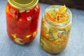 Salted tomatoes and sauerkraut in jars on a light wooden background. Fermented vegetables Royalty Free Stock Photo