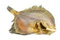 Salted turbot flatfish Royalty Free Stock Photo