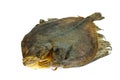 Salted turbot flatfish Royalty Free Stock Photo