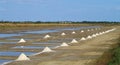 Saltern in oleron island