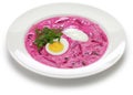 Lithuanian cold beet soup Royalty Free Stock Photo
