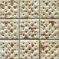 Saltine cracker closeup Royalty Free Stock Photo