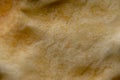 Saltine cracker crust close-up shot, extreme macro. Royalty Free Stock Photo