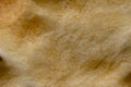 Saltine cracker crust close-up shot, extreme macro. Royalty Free Stock Photo