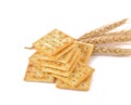 Saltine cracker on white background Royalty Free Stock Photo