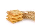 Saltine cracker on white background Royalty Free Stock Photo