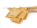 Saltine cracker on white background Royalty Free Stock Photo