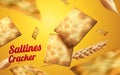 Saltines cracker element Royalty Free Stock Photo