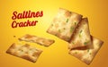 Saltines cracker element