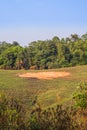 Saltlick in the forest are the places where elephants will eat minerals in Khao Yai National Park. Royalty Free Stock Photo