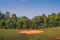 Saltlick in the forest are the places where elephants will eat minerals in Khao Yai National Park. Royalty Free Stock Photo