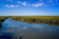 Saltmarsh along the Delaware coast in USA in late afternoon sun Royalty Free Stock Photo