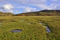 Saltmarsh Landscape of Scottish Hebridean Island Royalty Free Stock Photo