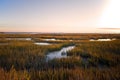 Saltmarsh on the Virginia coast in USA in the golden sun at sunset. Royalty Free Stock Photo