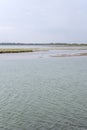 saltmarshes in lagoon shallow waters, Grado, Friuli, Italy