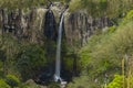 Salto da Farinha waterfall falling from rocks in lush green rainforest, Sao Miguel, Azores, Portugal