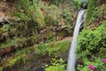 Salto de San Anton waterfall in cuernavaca morelos VI Royalty Free Stock Photo
