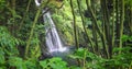 Salto do Prego waterfall, Sao Miguel Island, Azores, Portugal