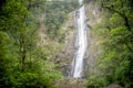 Salto Morato waterfall with stone wall in the Atlantic forest of southern Brazil