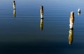 Salton Sea Pilings