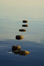 Salton Sea Stumps