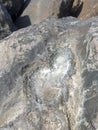 The salts appear on the rocks from the sea water aligned to the beach