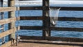 Saltwater angling on pier California USA. Sea ocean. Fishing catch, fresh alive fish in net basket. Royalty Free Stock Photo