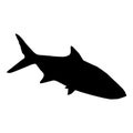 Saltwater fish sardine isolated black silhouette. Marine animal. White background. Vector illustration clipart Royalty Free Stock Photo