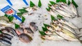 Saltwater fish sold at groceries store