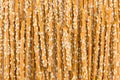 Salty breadsticks background pattern Royalty Free Stock Photo