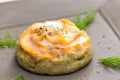 salty cake filled with cream cheese served with smoked salmon and dill Royalty Free Stock Photo