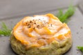 salty cake filled with cream cheese served with smoked salmon and dill Royalty Free Stock Photo