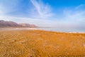 Salty coast of the Dead Sea. Royalty Free Stock Photo