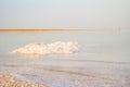 Salty coast of the Dead Sea. Royalty Free Stock Photo