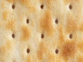 Salty cracker Royalty Free Stock Photo