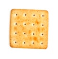 Salty Cracker Royalty Free Stock Photo