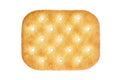 Salty cracker Royalty Free Stock Photo
