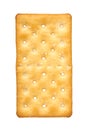 Salty cracker, crispy appetizer, rectangle shape cookie. Isolated